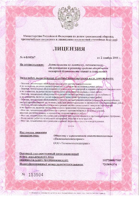 Лицензия МЧС Тюменьтехспецсервис Лицензия МЧС Тюменьтехспецсервис